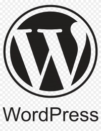 WordPress vs Custom CMS