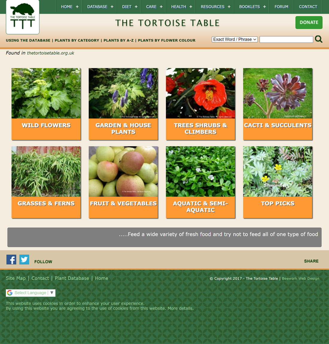 The Tortoise Table Website